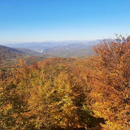 Apartament Bele Staze 59 *