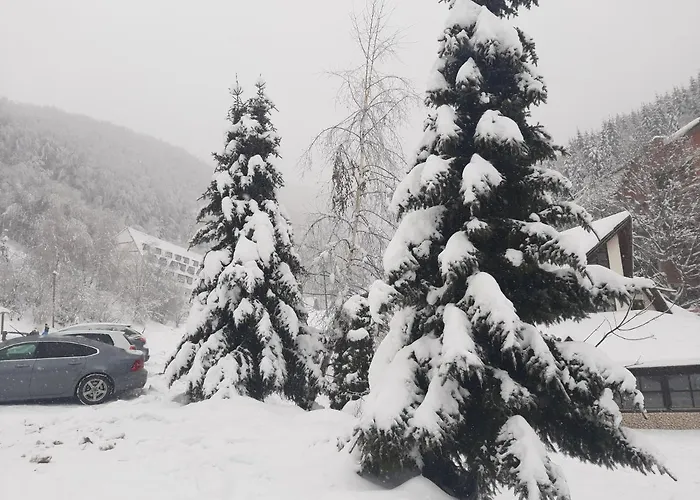 Bele Staze 59 Appartement Brus